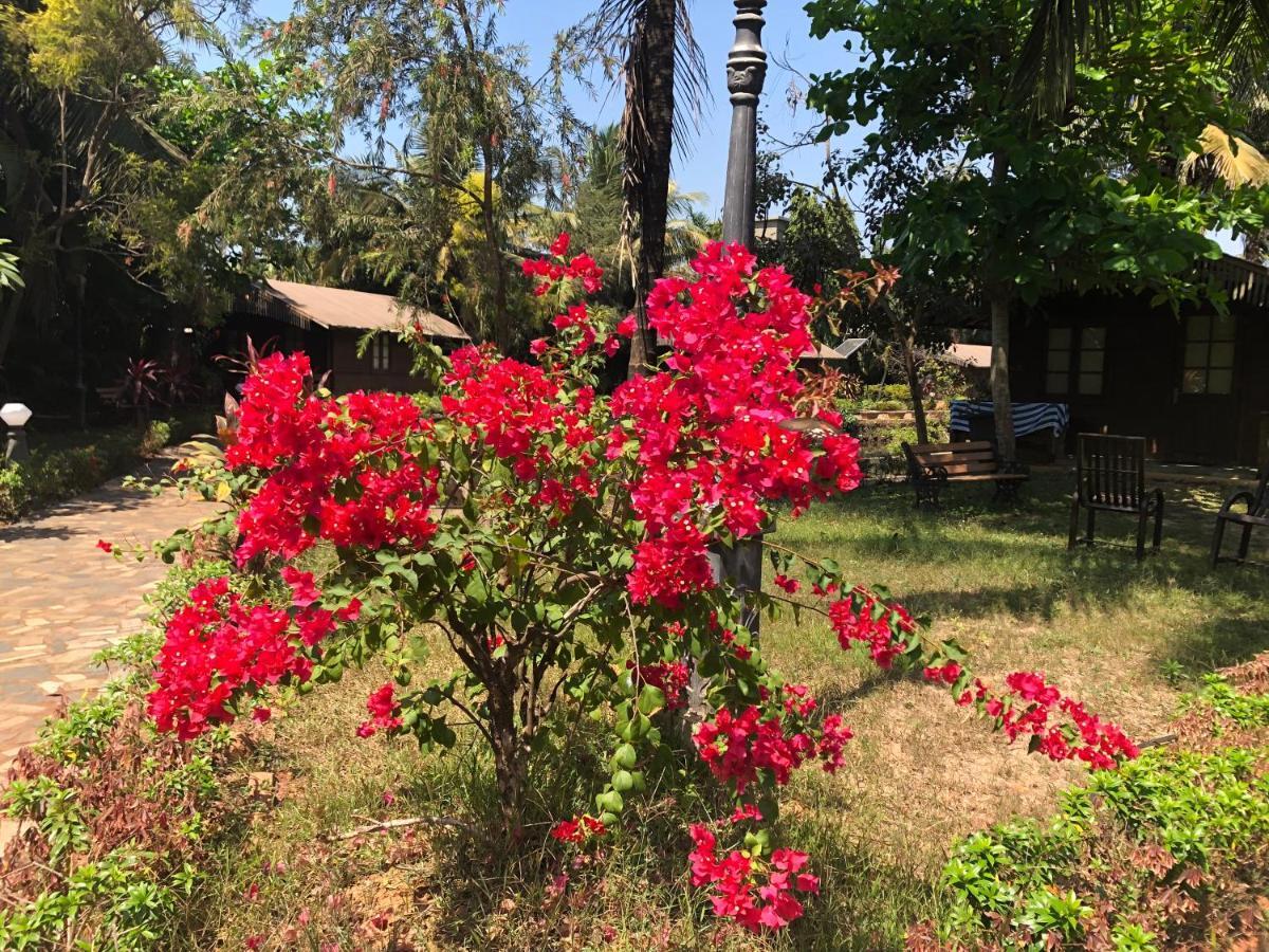 Resort Primo Bom Terra Verde Baga Buitenkant foto