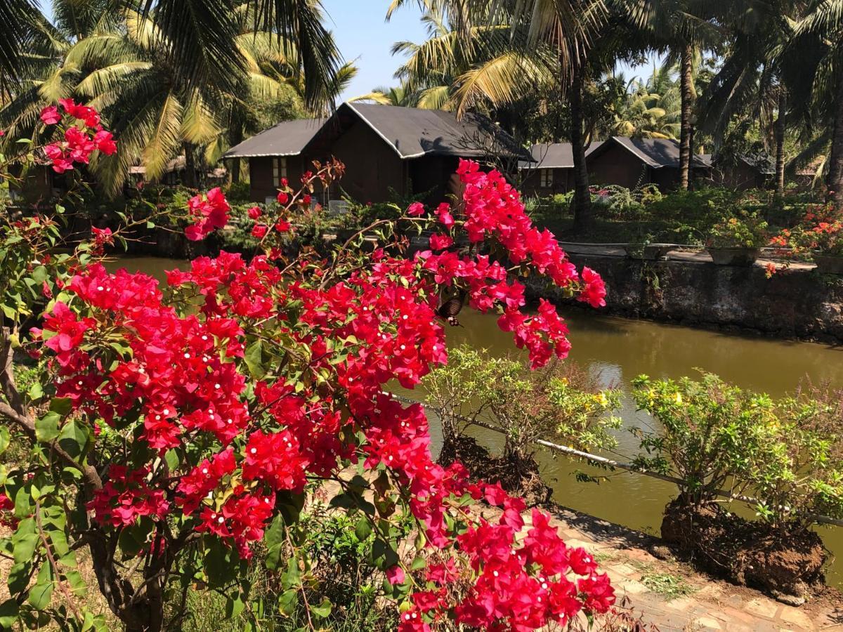 Resort Primo Bom Terra Verde Baga Buitenkant foto